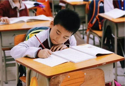 江蘇全面啟動課后服務與家庭教育咨詢，為家長減負解憂